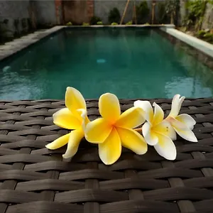 *** Maison d'hôtes Eka Bali Indonésie